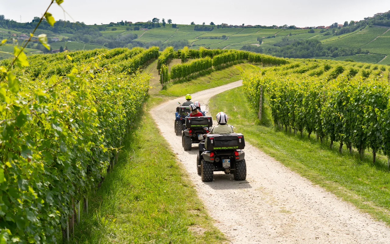 Escursione in quad su una strada tra i vigneti e le colline