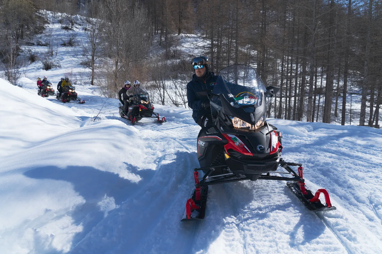 Gruppo in motoslitta su un percorso innevato tra gli alberi